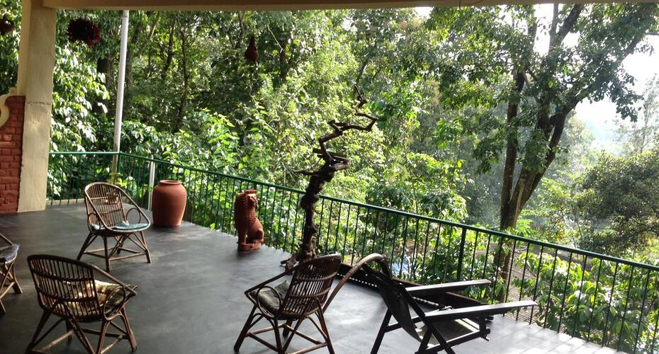 Periyar Habitat, Thekkady 5